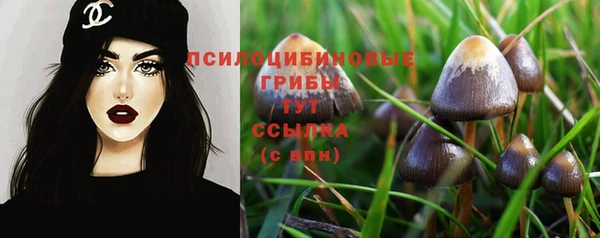 мет Мегион