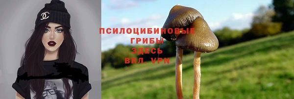 мет Мегион