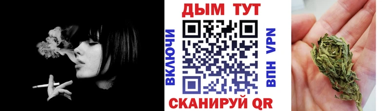 Бошки марихуана ГИДРОПОН  где продают наркотики  Новомичуринск 